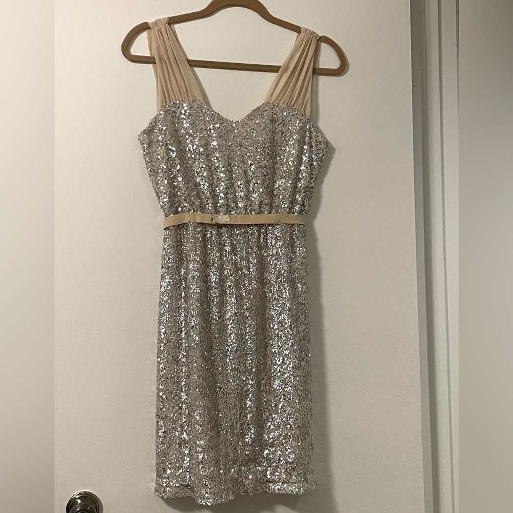 ERIN by Erin Fetherston Sequin Covered Dress Size 0 silver sequin